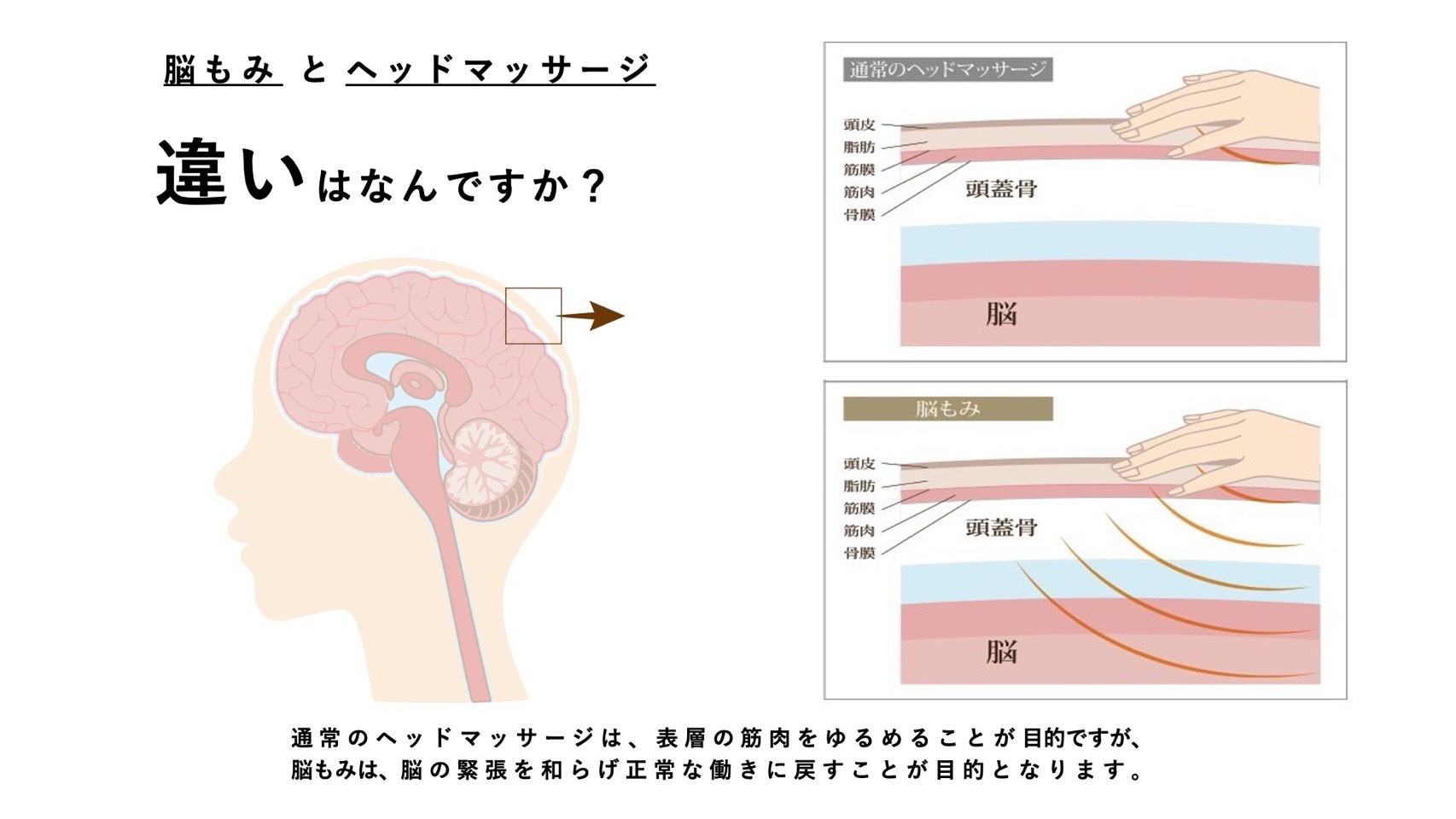 一般的なヘッドマッサージと脳もみの違い